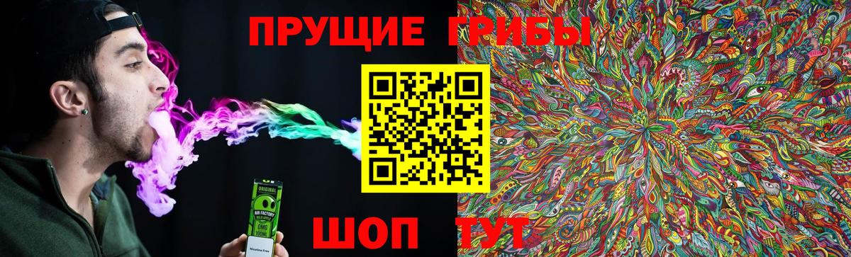 Псилоцибиновые грибы Psilocybe  Вход с VPN  Ноябрьск 