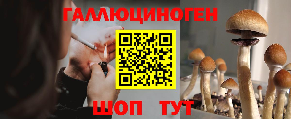 Галлюциногенные грибы Psilocybine cubensis Ноябрьск